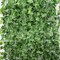 36 Strands 248FT Fake Ivy Garlands Leaves Artificial Vines Faux Green Hanging Plants for Bedroom Wall House Decor Outdoor Wedding Photography Backdrops, Non-discoloring